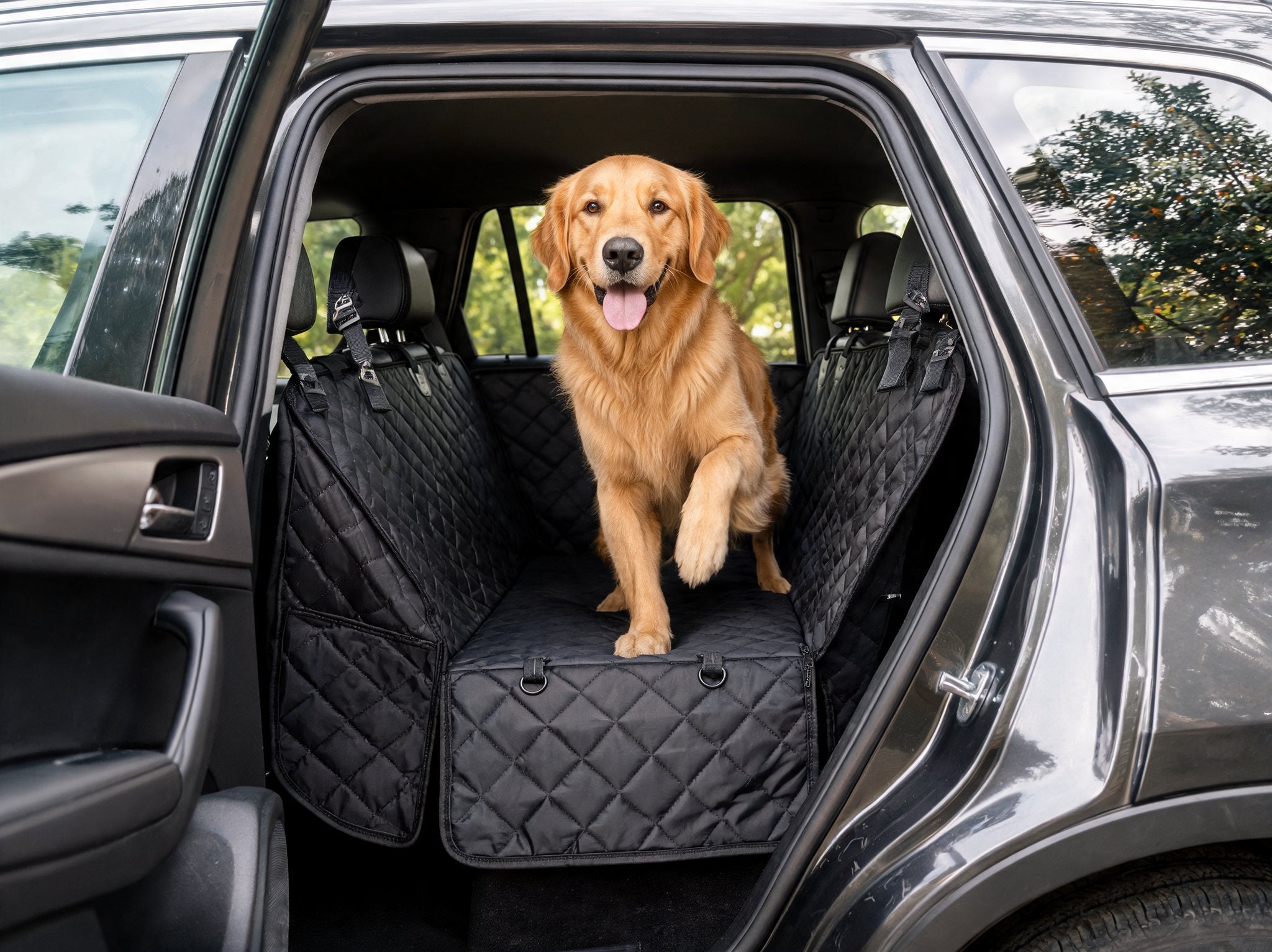 Hond stapt via het geopende achterportier op de autohoes